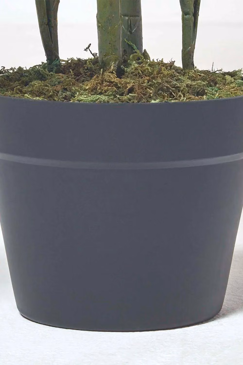 Homescapes Multi Stem Green Palm Tree in Pot, Height: 180 cm – 2