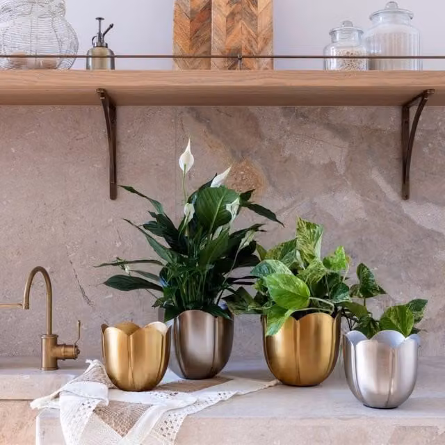 Ivyline Eva Metal Tulip Gold Planter Set of 2