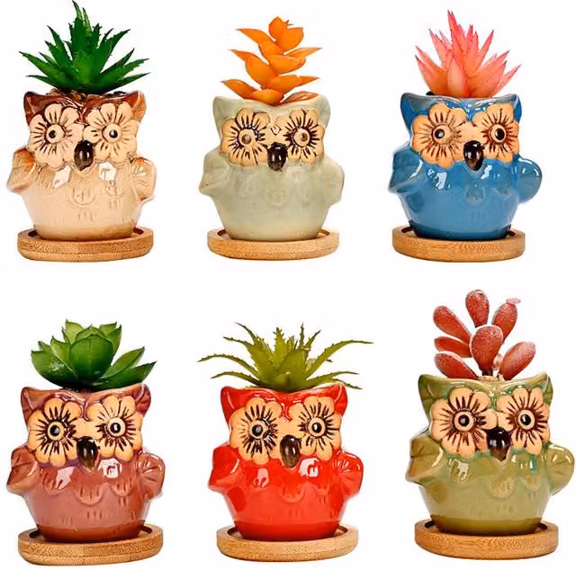 Simpa 6-Piece Multicolour Decorative Owl Themed Ceramic Plant Pots with Wood Bases, H 7.3 cm x Dia 7.3 cm – 1