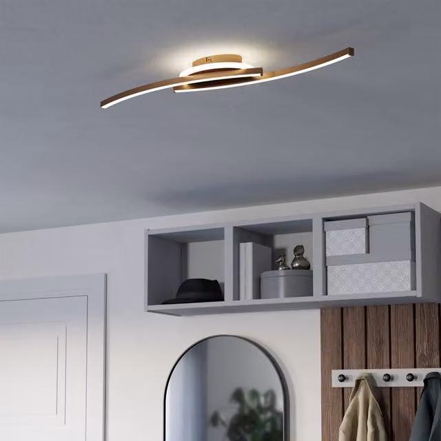 Eglo Lungolago Minimalist Steel Ceiling Light in Bronze and Stainless Steel