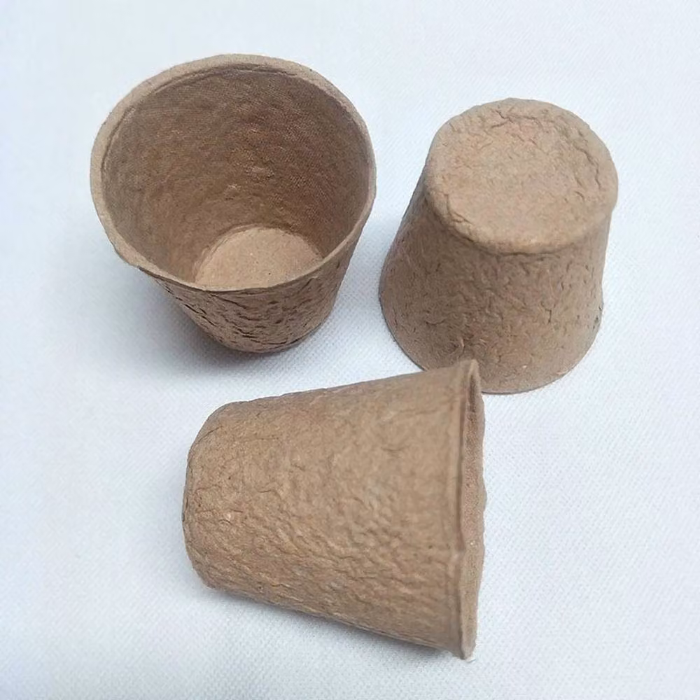 FLAVORA 200CS Grow It Biodegradable Fibrene Planter Pot, Brown, Diameter: 6 cm – 3