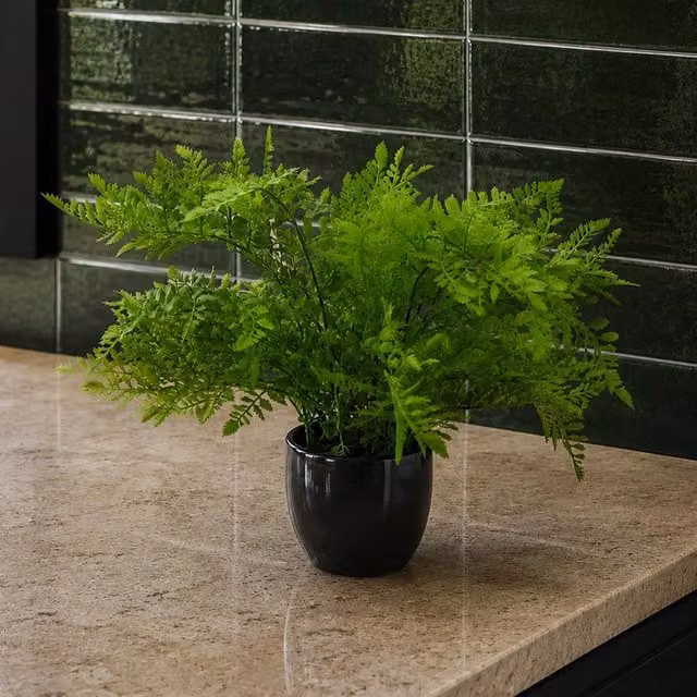 Botanik Realistic Artificial Green Fern Plant in a Black Potted Tabletop Design H 40 cm x W 30 cm x D 30 cm