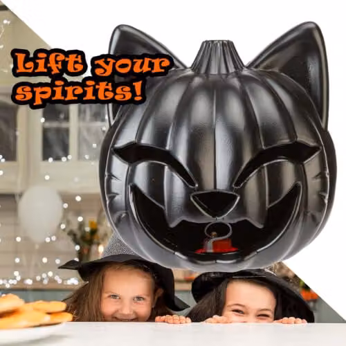 VFM e-Store Halloween Black Cat Light Up Pumpkin Tabletop Party Accessory, Black – 5