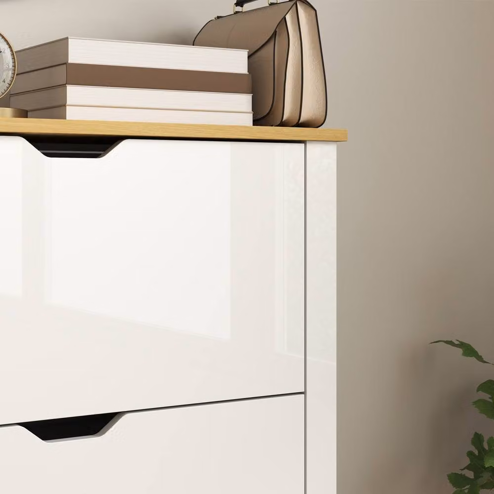 Wyld Haus Dorane Lake Slim Shoe Cabinet in High Gloss White with 3 Tilting Compartments – 5