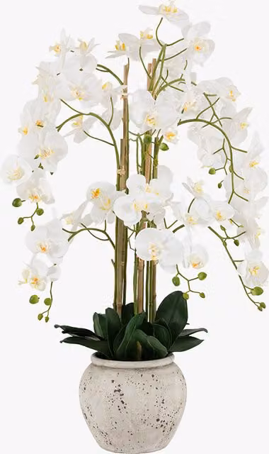 Perch & Parrow White Faux Real Touch Orchid in a Round Concrete Style Pot