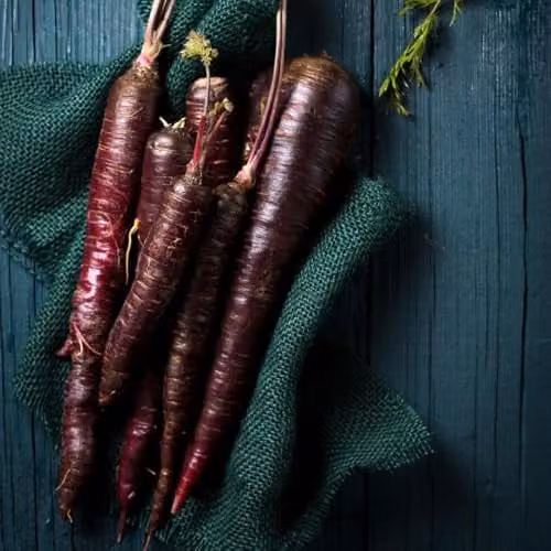 Thompson & Morgan Carrot Deep Purple F1 Vegetable Seeds, 200 Seeds