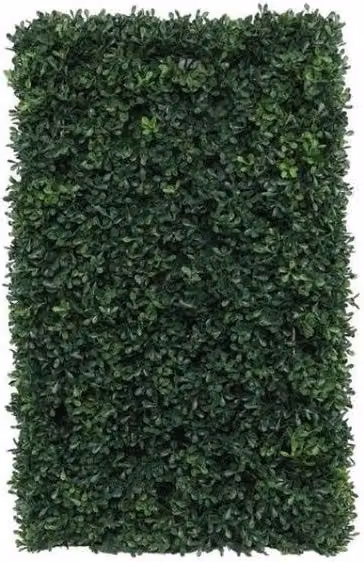 KDMD UV Botanica Green Hedge, W: 38 cm, H: 18 cm