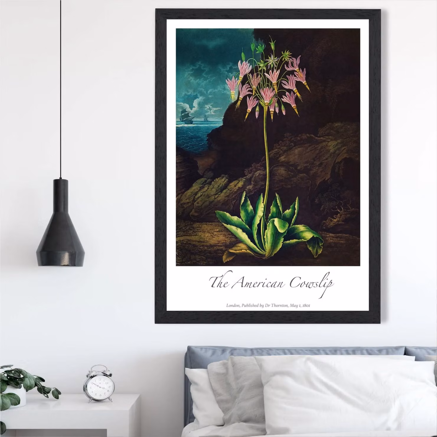 ARTZE Cowslip Plant Vintage Floral Framed Print, Pink and Multicolour Botanical Illustration in a Black Frame, A3 – 2