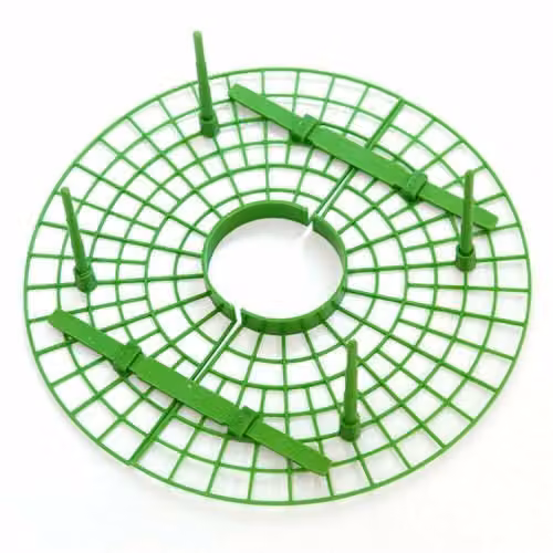 Thompson & Morgan Green Plastic Strawberry Support Frame for Fruit Garden Plants