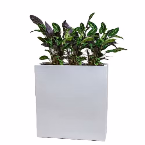 Primrose White Gloss Polystone High Trough Planter 100cm – 1