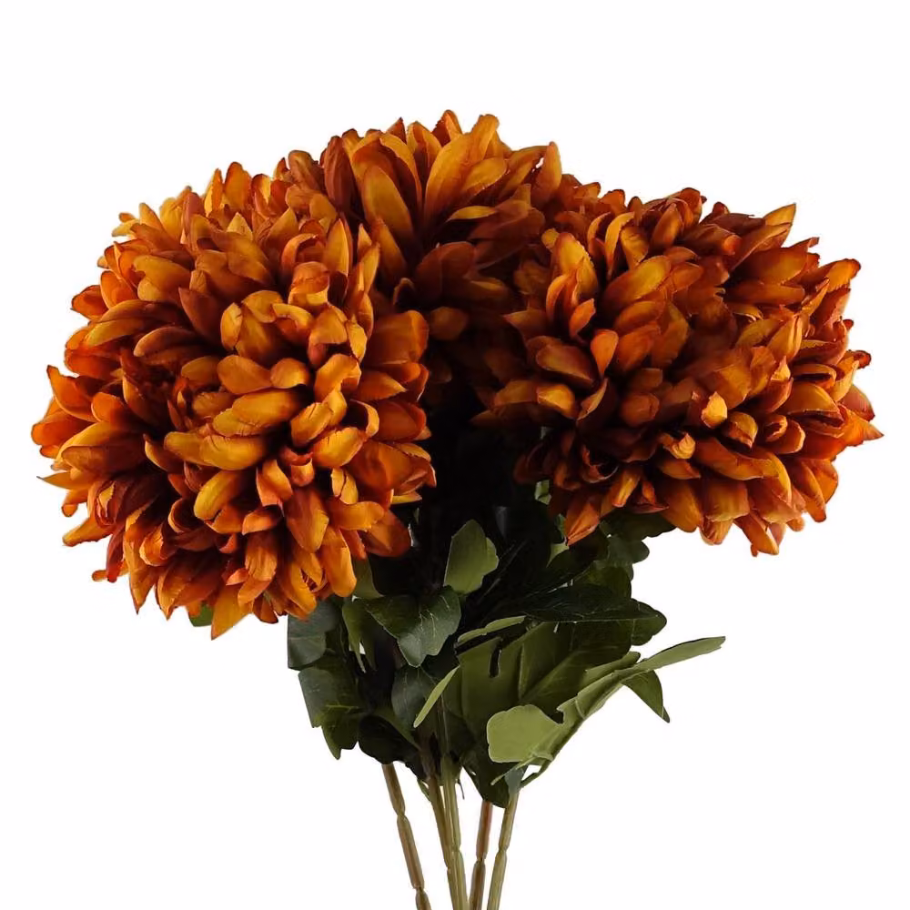 Leaf Pack of 6 Orange Artificial Extra Reflex Chrysanthemums, Height: 75 cm – 3