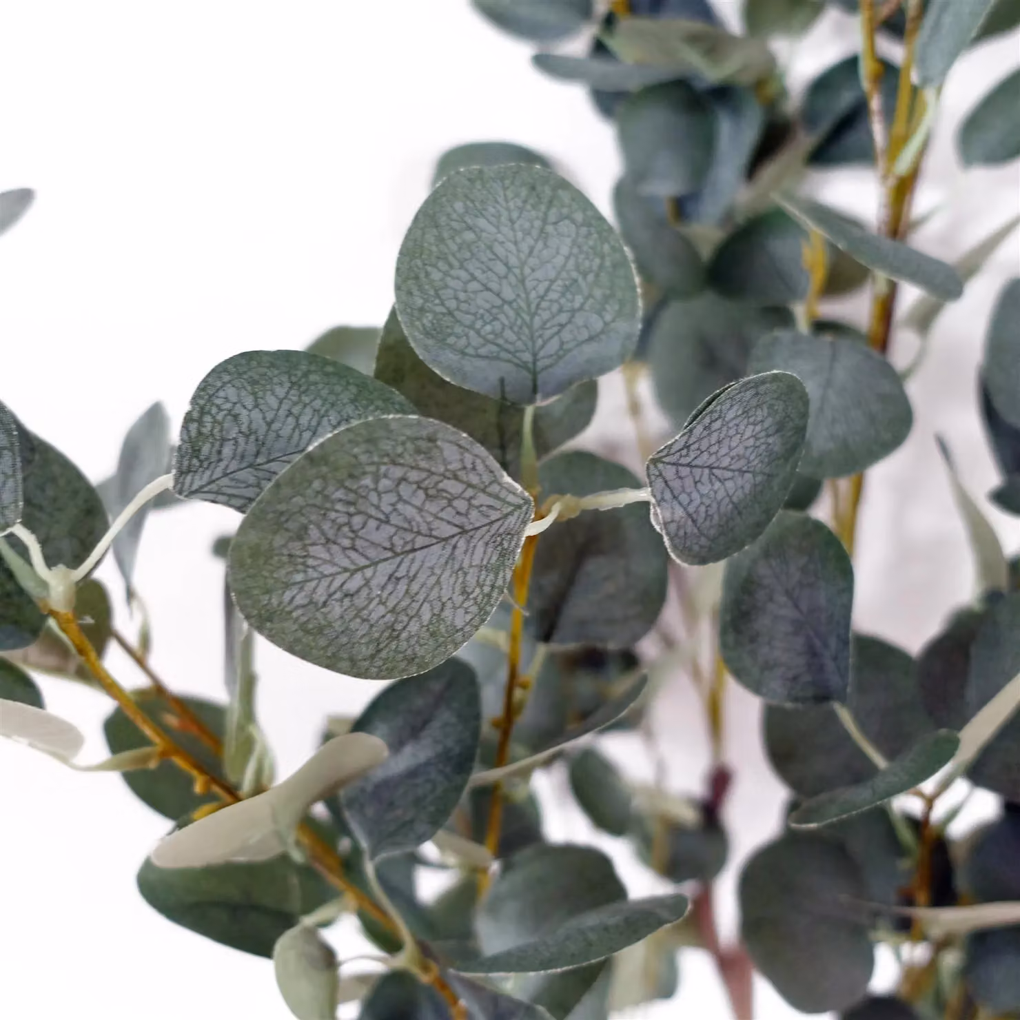 Botanik UK Leaf 150cm Premium Artificial Eucalyptus Tree in Green – 2