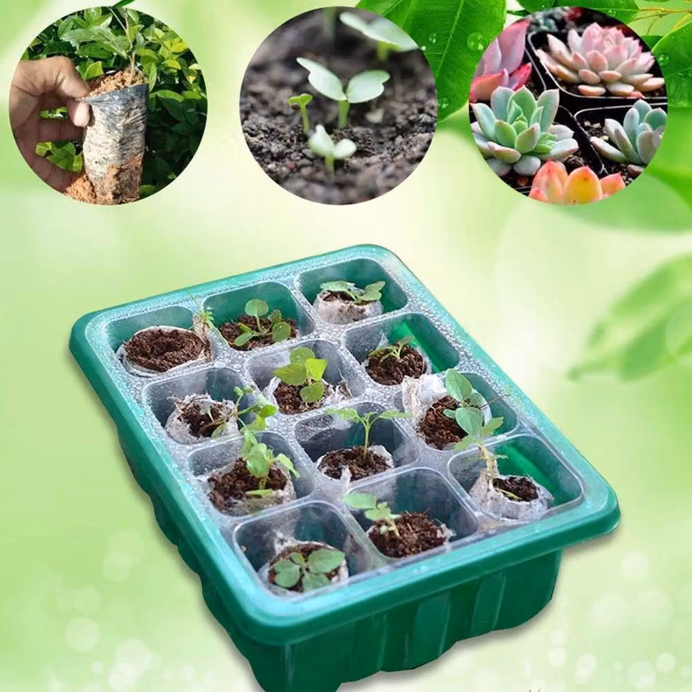 FLAVORA 6-Piece Green 72-Cell Seed Starter Propagator Tray Set – 4