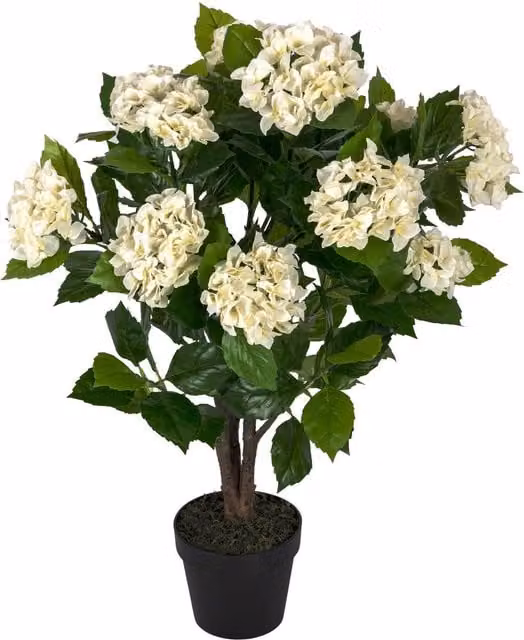 Homescapes Artificial Cream Hydrangea in a Black Pot, Height: 85 cm
