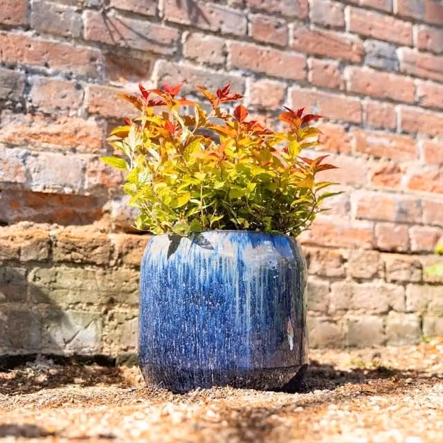 Primrose Blue Mix Round High Gloss Garden Planter, Diameter: 27 cm, Height: 23 cm