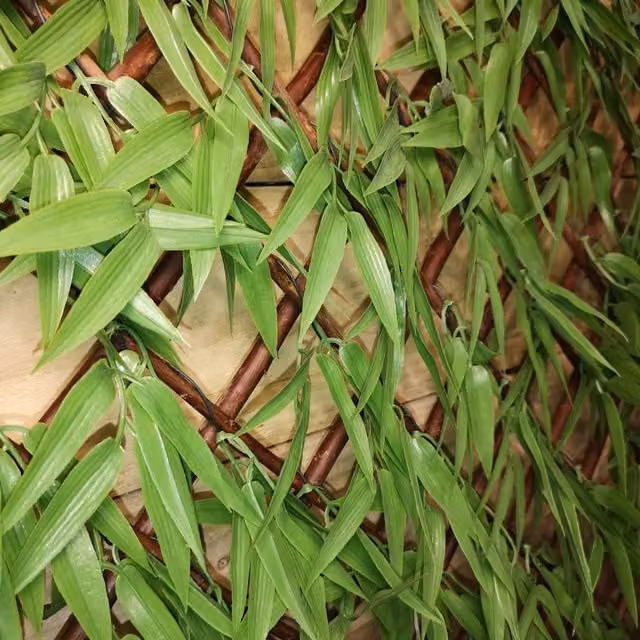 Samuel Alexander Green Bamboo Leaf Artificial Hedge Trellis Willow Backed Privacy Screen, W: 200 cm x H: 100 cm