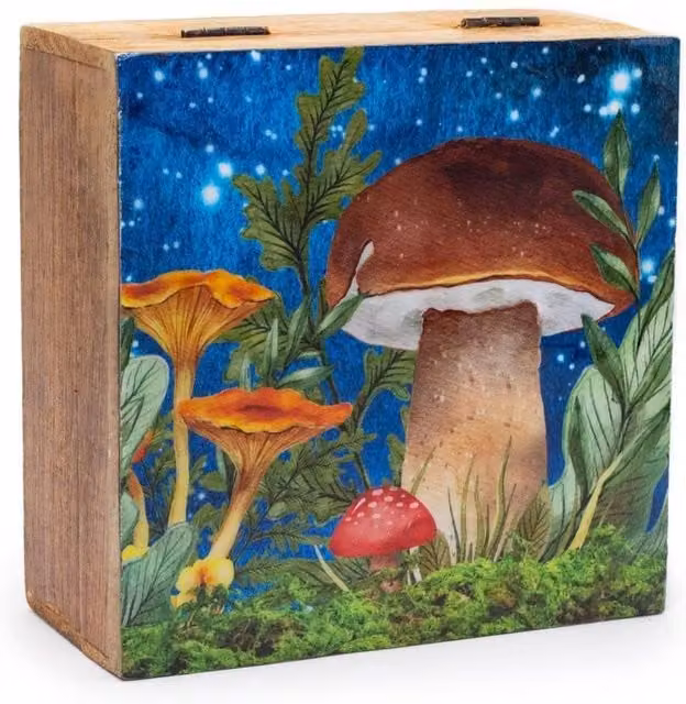 KDMD Mushroom Design Big Square Storage Box in Petrol and Multicolour, W: 15 cm, D: 17.5 cm, H: 8 cm