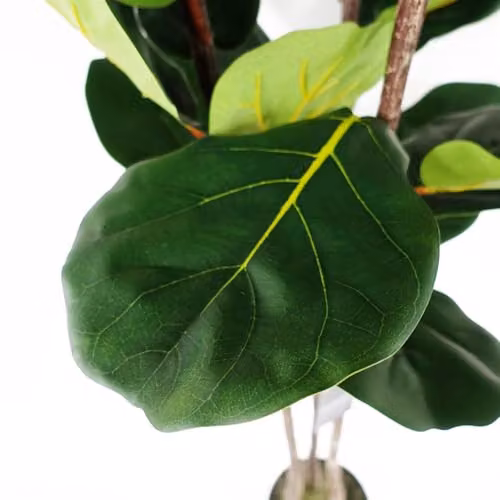 Botanik UK Premium Green Artificial Fiddle Fig Tree, Height: 180 cm – 3