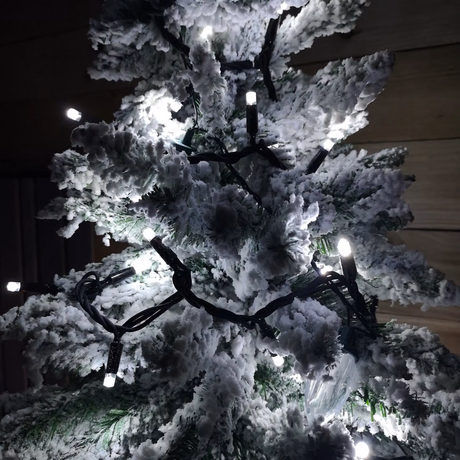 Samuel Alexander 100 LED Premier Christmas Connectable Outdoor Static Lights in Cool White, 8m – 2