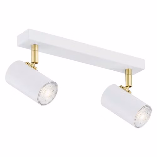 Argon18 Lagos 890 White Surface Mounted Downlight with 2 x 5 W GU10 IP20