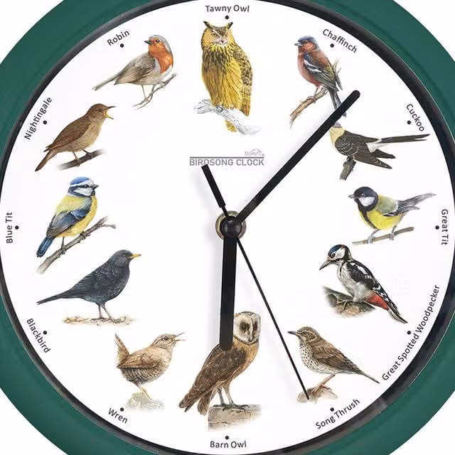 JML Classic Round Analog Bird Song Wall Clock in White and Green – 3