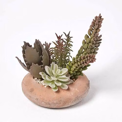 Homescapes Artificial Succulent Arrangement in a Round Ceramic Pot, Green and Brown, H 15 cm x W 15 cm x D 15 cm – 1