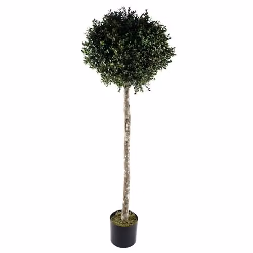 Botanik Realistic Green Artificial Potted Topiary Tree, H 140 cm x W 50 cm x D 50 cm