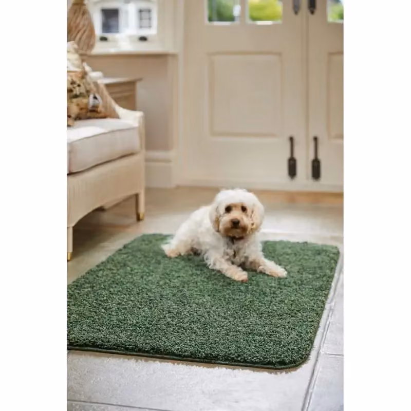 THE RUGS My Mat Washable Non Slip Shaggy Round Rug in Green, Diameter: 100 cm – 3