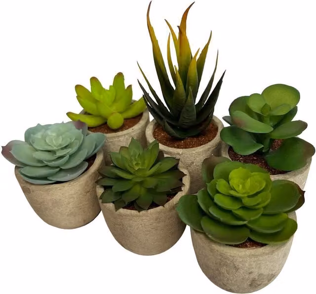 Oypla Set of 6 Artificial Succulent Mini Cactus Grass Plants in Potted Concrete for Tabletop Decoration, Green
