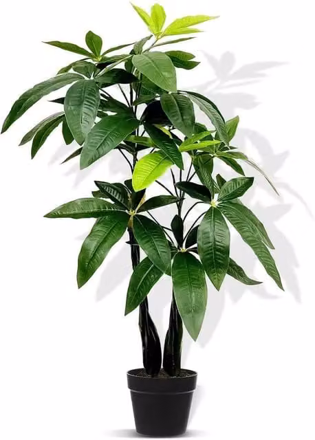 Kelvenix 80cm Green Artificial Pachira Aquatica Tree – 1