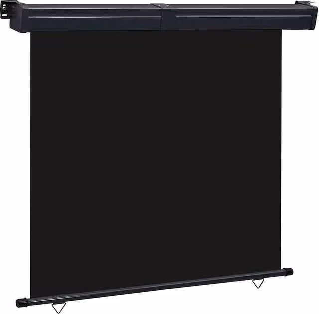 Berkfield Home Balcony Side Awning in Black, W/H: 160 x 250 cm