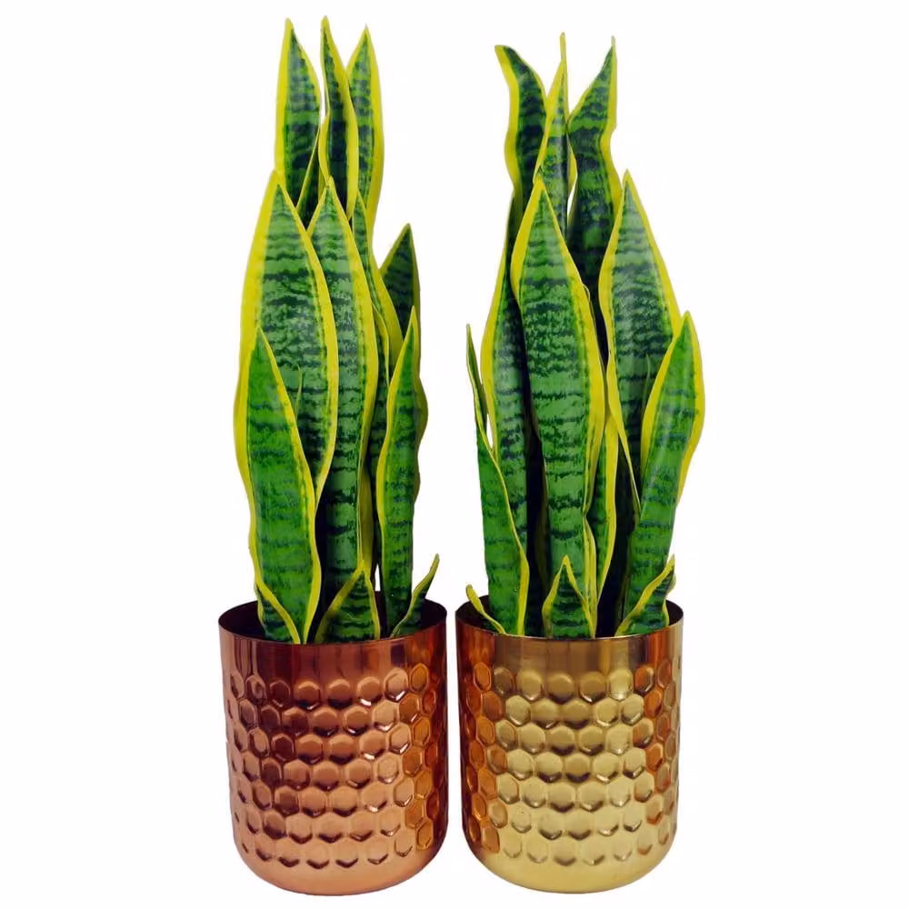 Botanik Honeycomb Geometric Metal Tabletop Planter, Bronze, W: 18 cm, D: 15.5 cm, H: 15.5 cm