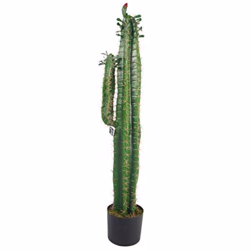 Leaf Design UK Premium Artificial Succulent Cactus in a Black Pot, Height: 110 cm – 1