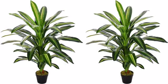 Outsunny Set of 2 Green Artificial Dracaena Trees, Height: 110 cm – 1