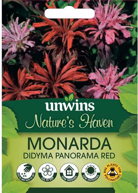 Marshalls Garden Monarda Panorama Red Flower Seeds, 40 Seeds