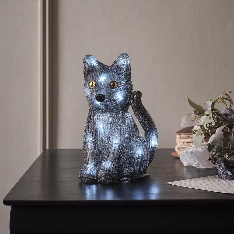 Jet the Black Cat LED Outdoor Halloween 3D Acrylic Figure in Black and White, H 17.5 x W 14.0 x D 8.0 cm