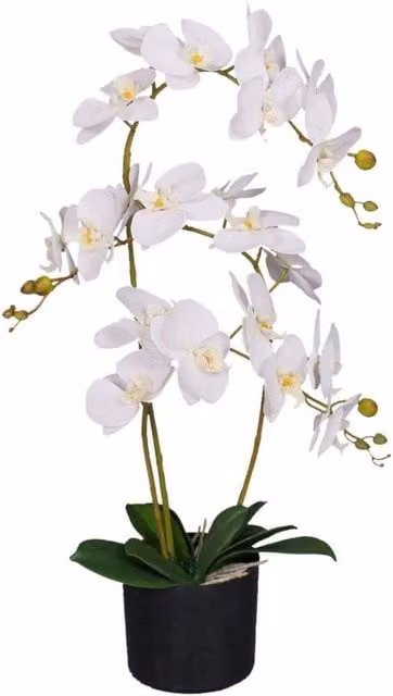 Leaf Design Realistic Artificial White Orchid Flower Display in Pot, Height: 65 cm