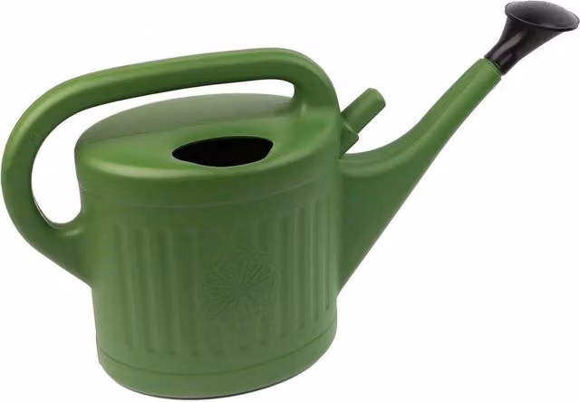 SPETLEK Green Indoor Watering Can with Detachable Rose Head, 10 Litre