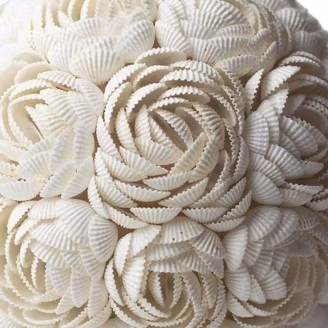 KDMK Boho Sea Shell Rose Globe Tabletop Ambient Light, White