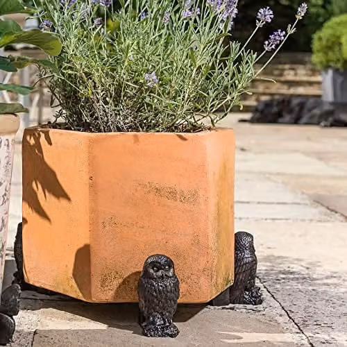 Jardinopia Tawny Owl Plant Pot Feet, Set of 3, Bronze, W/D/H: 4.5 x 8.0 x 9.5 cm – 2