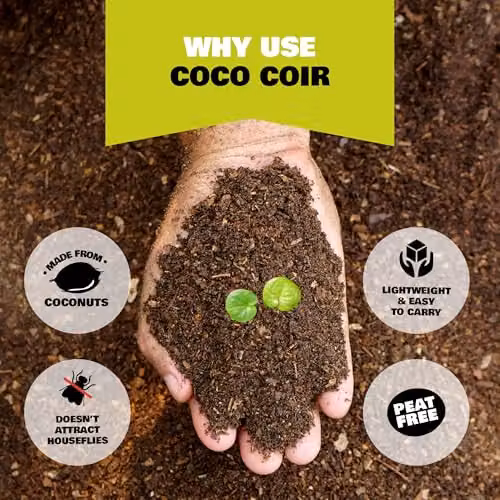 Coco&Coir Organic Peat-free Coir Compost, Natural Coconut Fibre Potting Soil and Reptile Substrate, 75 l – 2