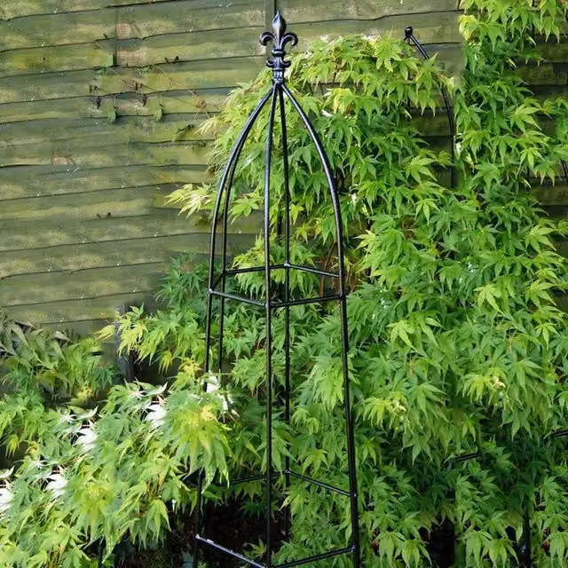 Poppyforge Gothic Obelisk Garden Plant Support, Black Steel, H: 182.9 cm, W: 40.6 cm, D: 40.6 cm