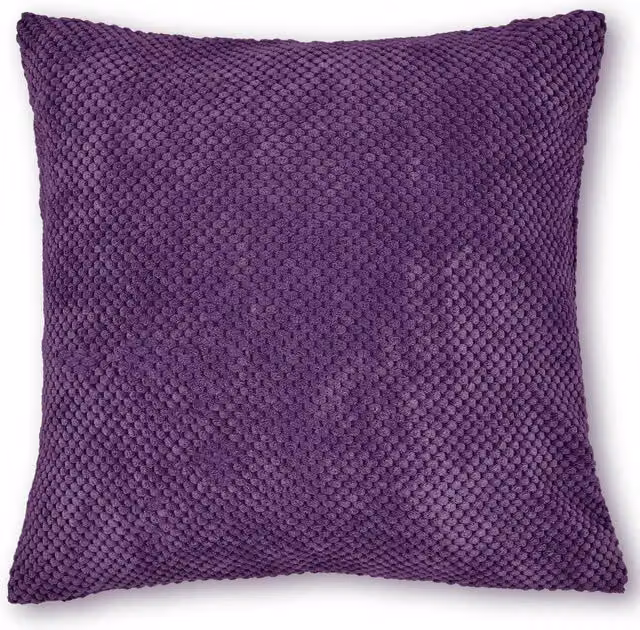 Intimates Elin Plush Square Filled Cushion in Purple, W/D/H: 43 x 43 x 43 cm