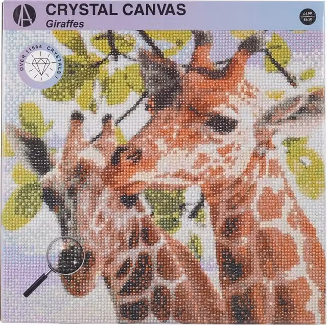 Art Studio Giraffe or Panda Crystal Canvas in Multicolour
