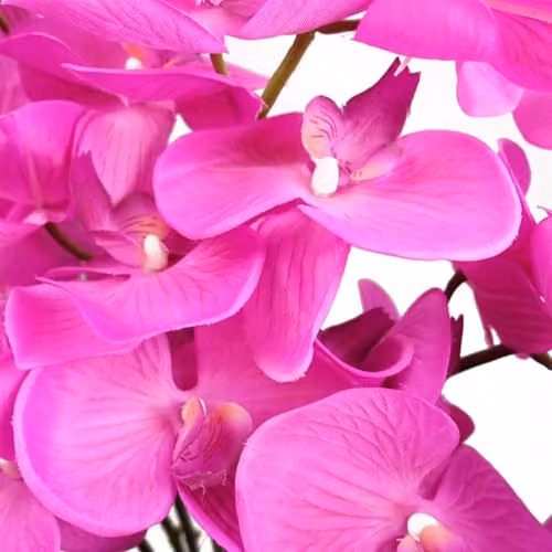 Leaf Design UK Pink Artificial Deluxe Orchid in a Black Pot, Height: 85 cm – 2
