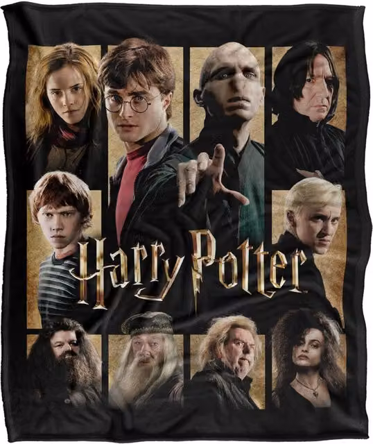 LOGOVISION Harry Potter Heroes and Villains Squares Silky Touch Super Soft Fleece Throw Blanket, Multicolour, W: 91.44 cm, L: 147.32 cm – 6