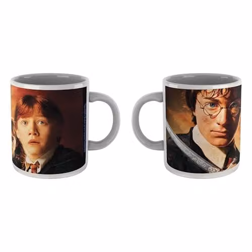 Zavvi Harry Potter Chamber of Secrets Multicolour Ceramic Mug