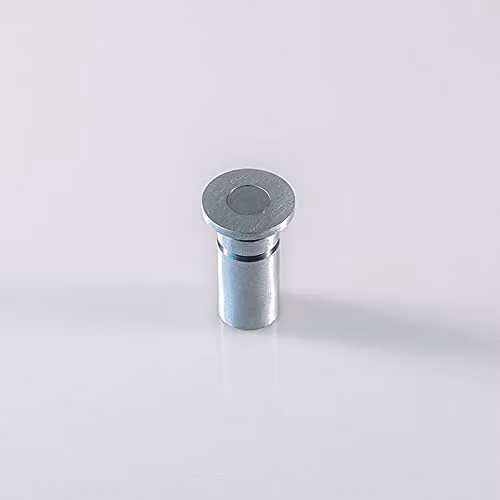 Loops Floor Recessed Dust Excluding Flush Bolt Socket in Satin Chrome, Depth: 4.5 cm