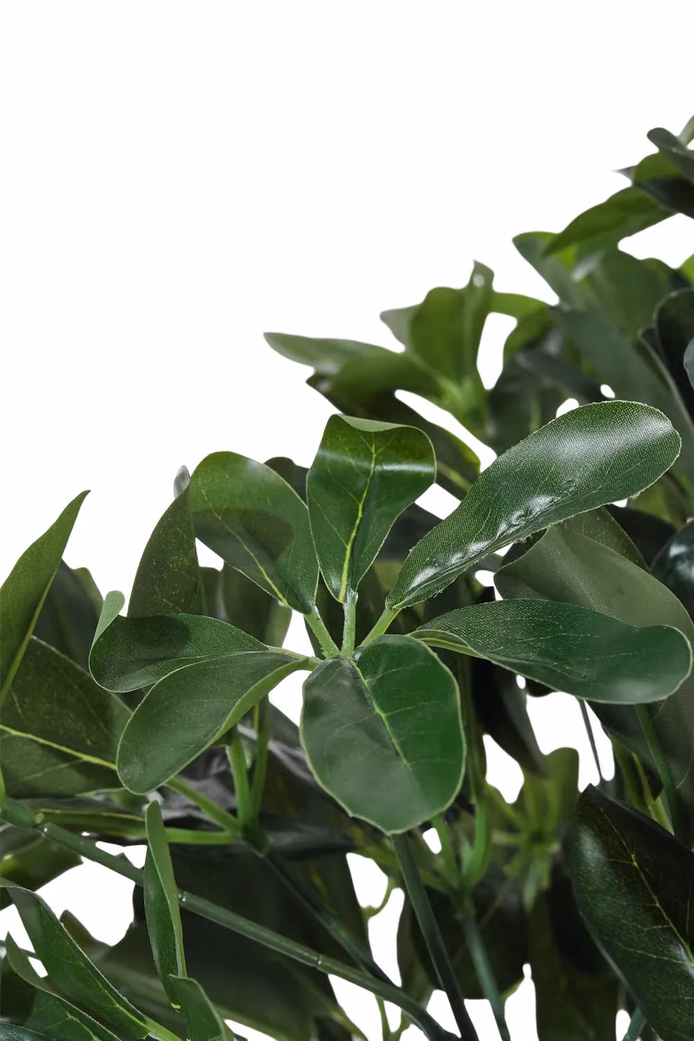 Living and Home Green Artificial Schefflera Arboricola Tree in Pot, Height: 122 cm – 3