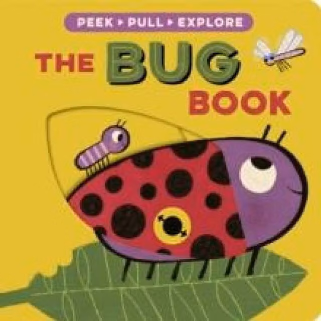 Becky Davies Bug Book Multicolour Cardboard Board Book